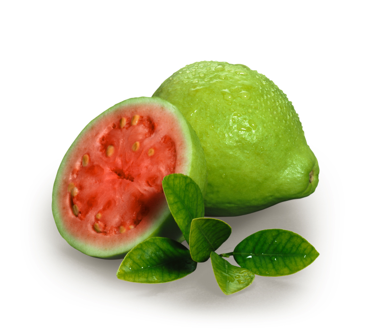 Guava